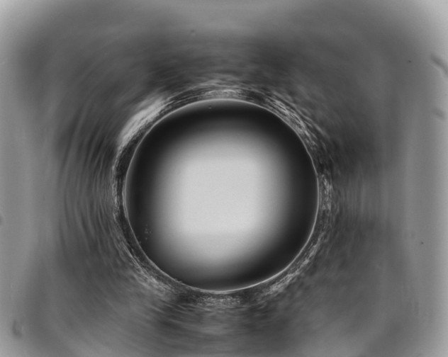 X0000094930245200711291341