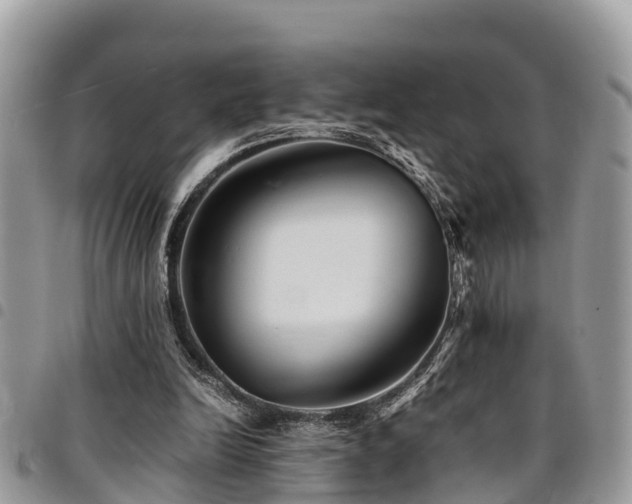 X0000094930246200711291341