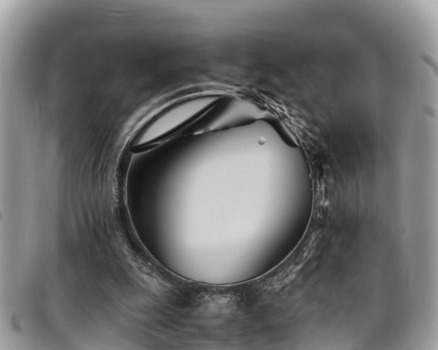 X0000094930247200711291341