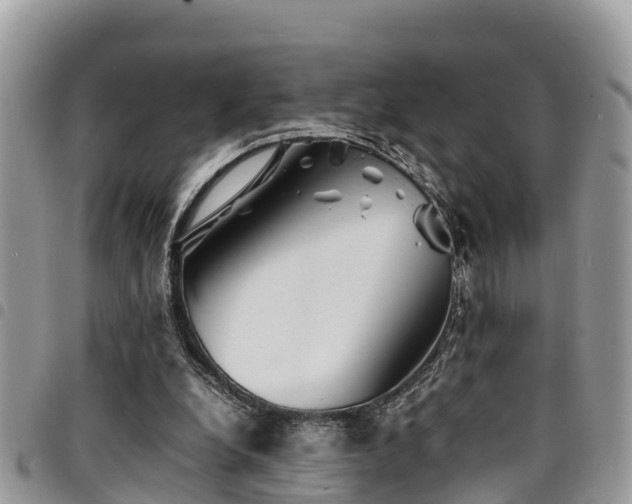 X0000094930248200711291341