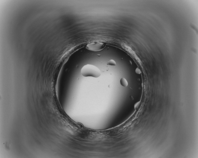 X0000094930249200711291341