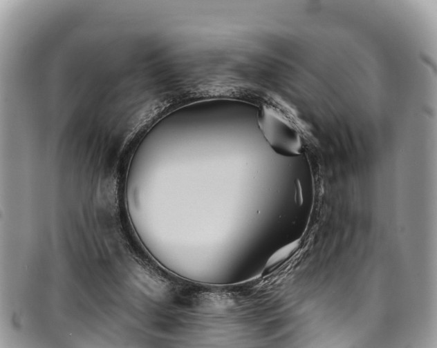 X0000094930250200711291341