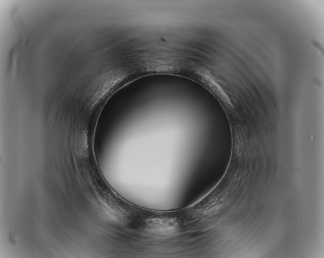 X0000094930251200711291341