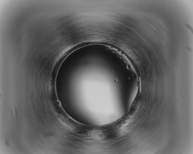 X0000094930252200711291341