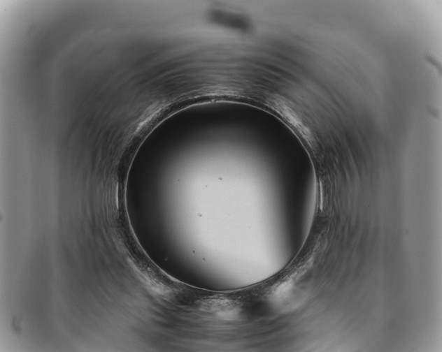 X0000094930253200711291341