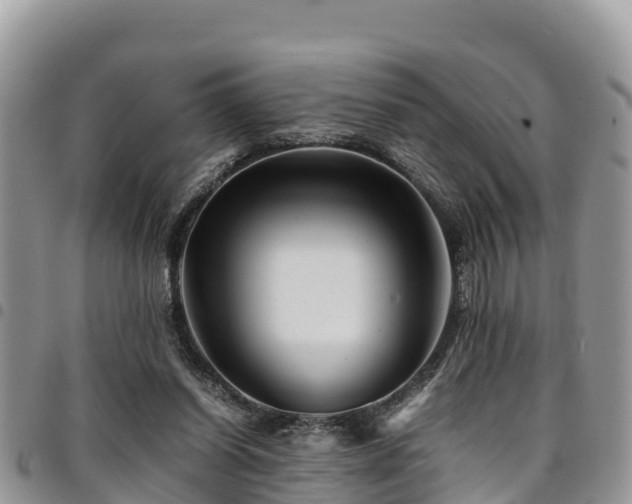 X0000094930254200711291341