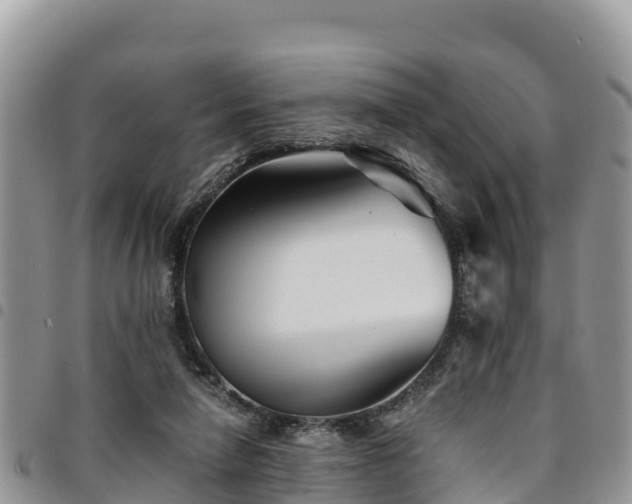 X0000094930258200711291341