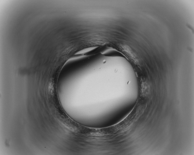 X0000094930259200711291341