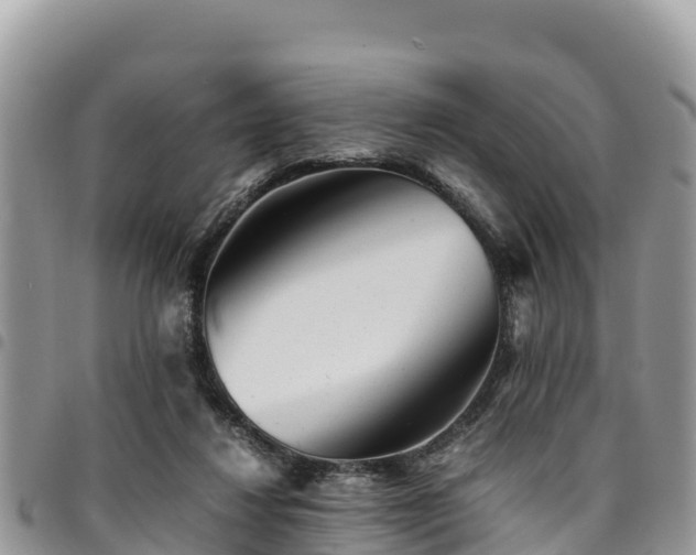X0000094930260200711291341