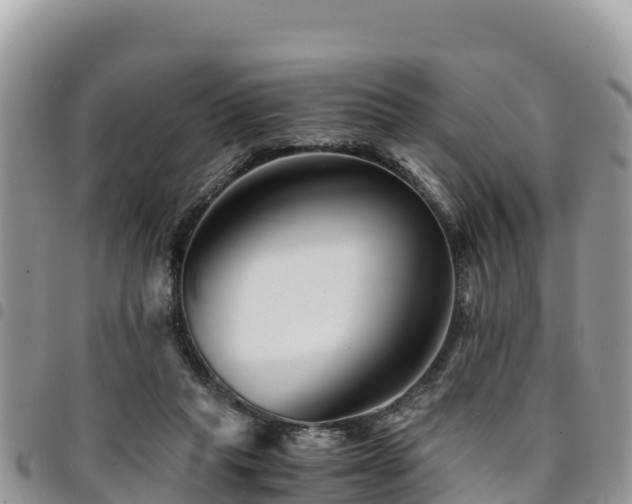 X0000094930261200711291341