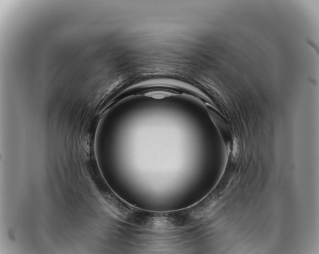 X0000094930264200711291341