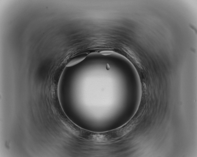 X0000094930265200711291341