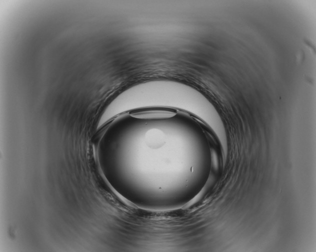 X0000094930268200711291341