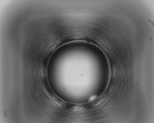 X0000094930272200711291341