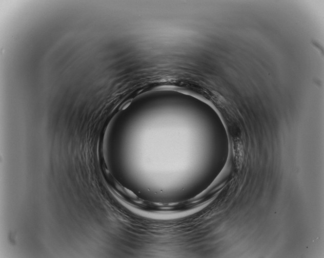 X0000094930274200711291341