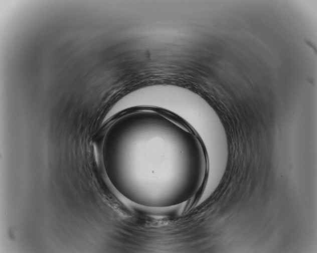 X0000094930276200711291341
