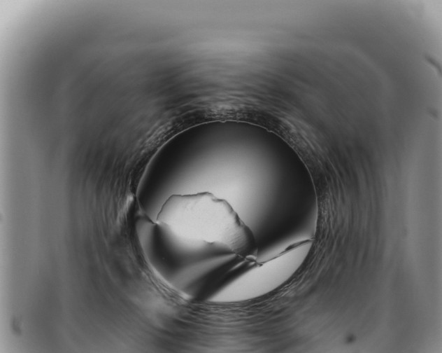 X0000094930278200711291341