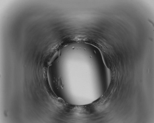 X0000094930280200711291341