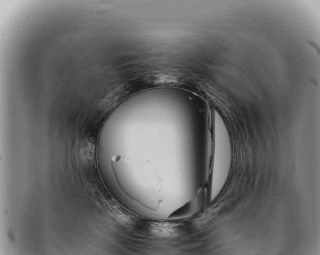 X0000094930281200711291341
