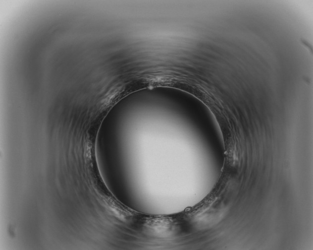 X0000094930282200711291341