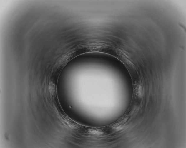 X0000094930283200711291341