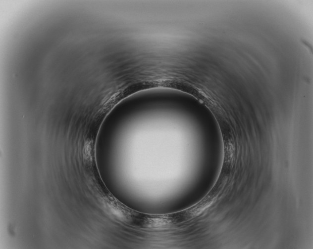 X0000094930286200711291341