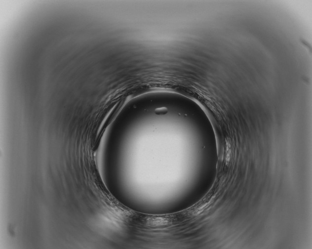 X0000094930287200711291341