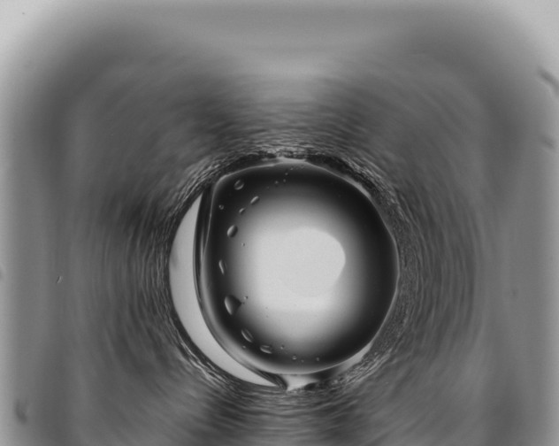 X0000094930288200711291341