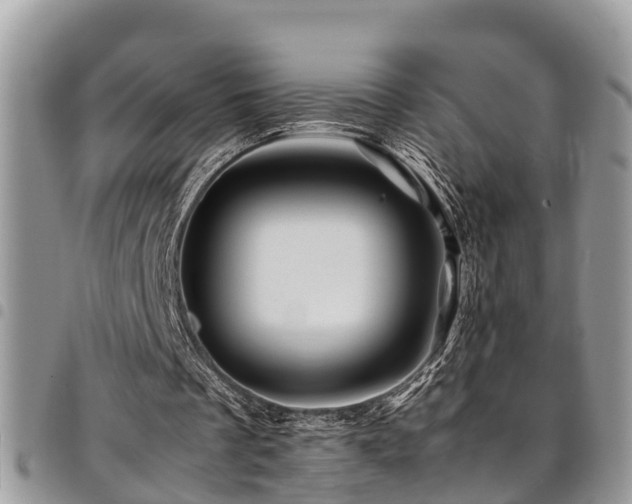 X0000094930289200711291341