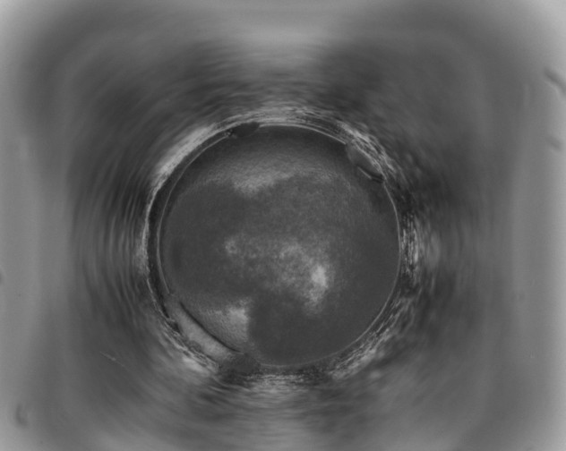 X0000094930292200711291341