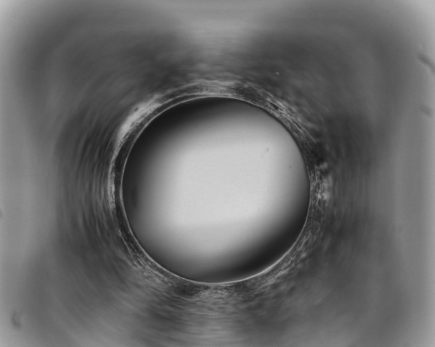 X0000094930294200711291341