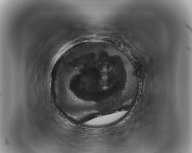 X0000094930295200711291341