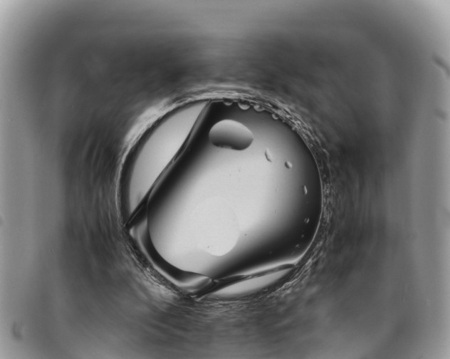 X0000094930296200711291341