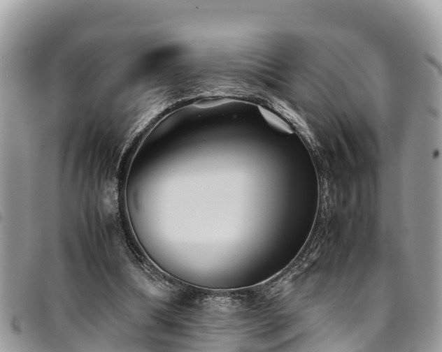 X0000094930298200711291341