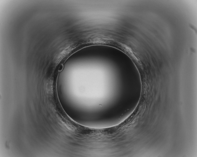X0000094930299200711291341