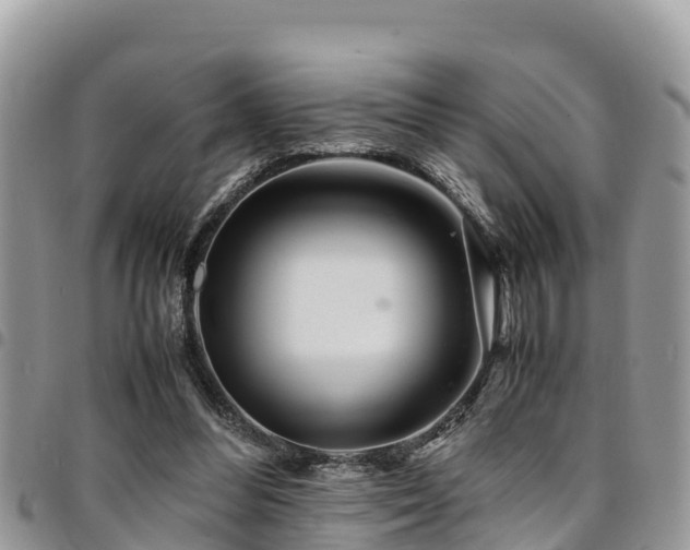 X0000094930300200711291341