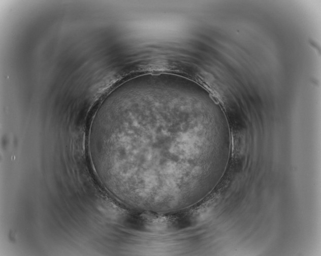 X0000094930301200711291341