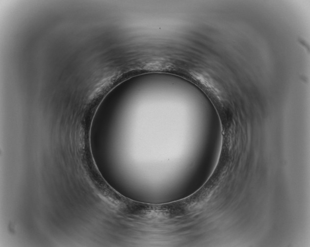 X0000094930303200711291341