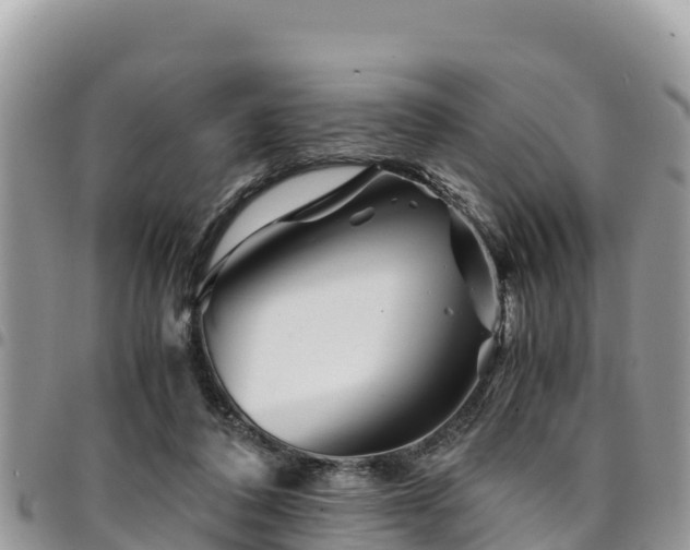 X0000094930308200711291340