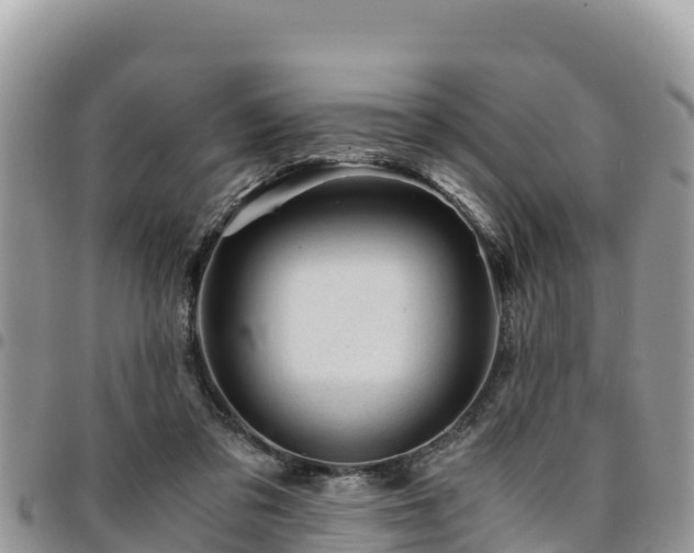 X0000094930309200711291340