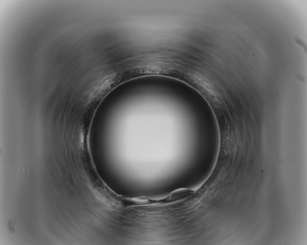 X0000094930310200711291340