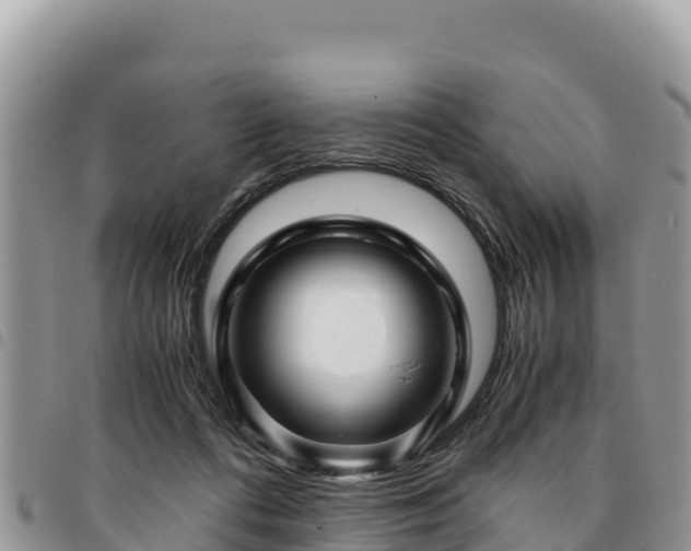 X0000094930312200711291340