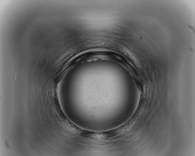 X0000094930313200711291340