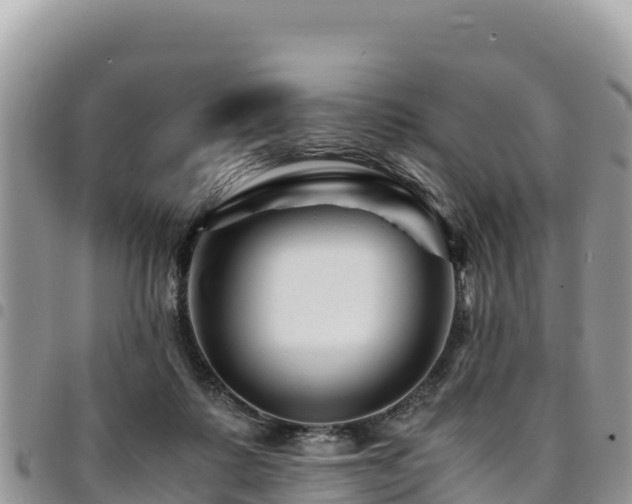 X0000094930315200711291340