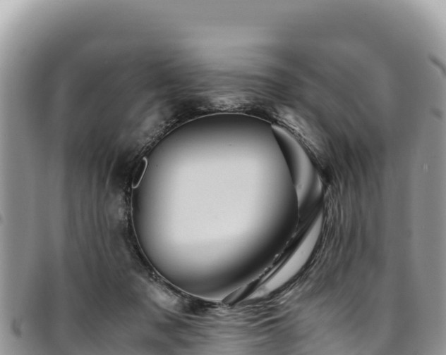 X0000094930317200711291340