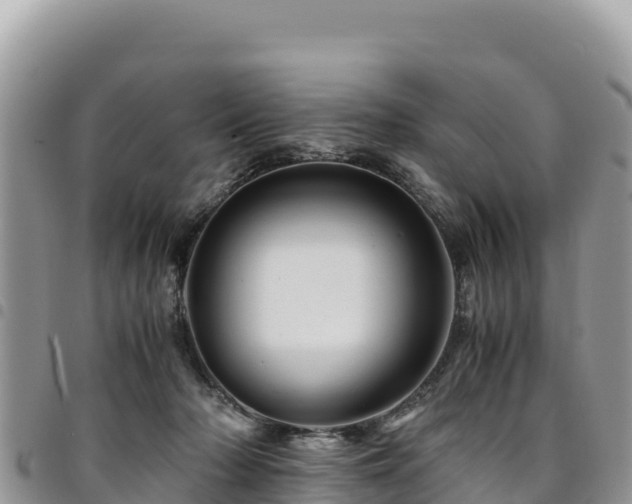 X0000094930318200711291340
