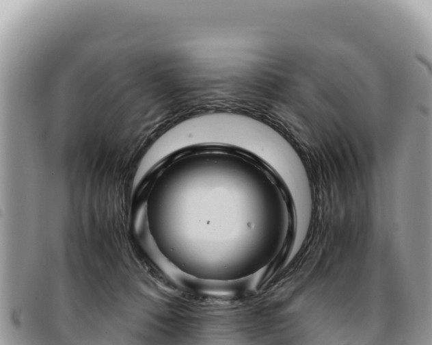 X0000094930320200711291340