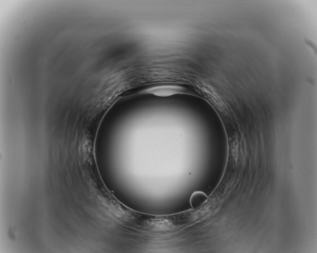 X0000094930322200711291340