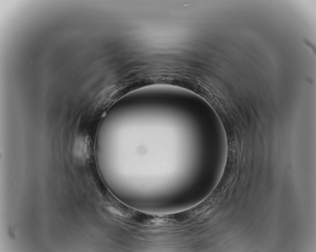 X0000094930323200711291340