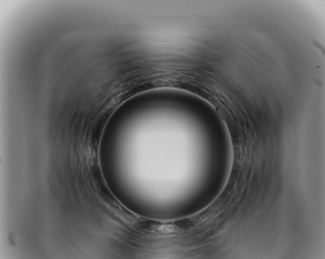 X0000094930324200711291340
